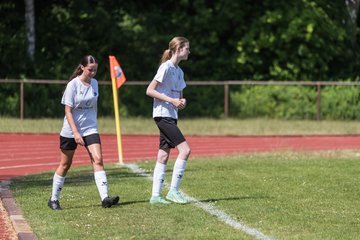 Bild 210 - wBJ VfL Pinneberg - Harksheide : Ergebnis: 2:1